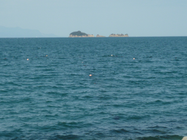 d0178017_15403979.jpg