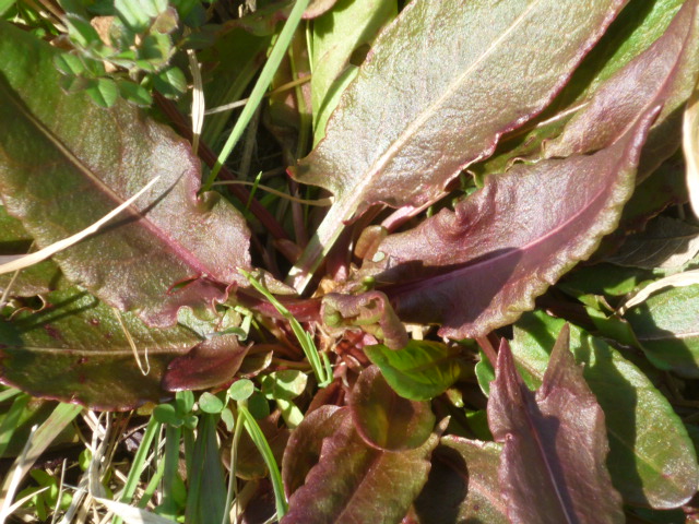 d0178017_15523085.jpg
