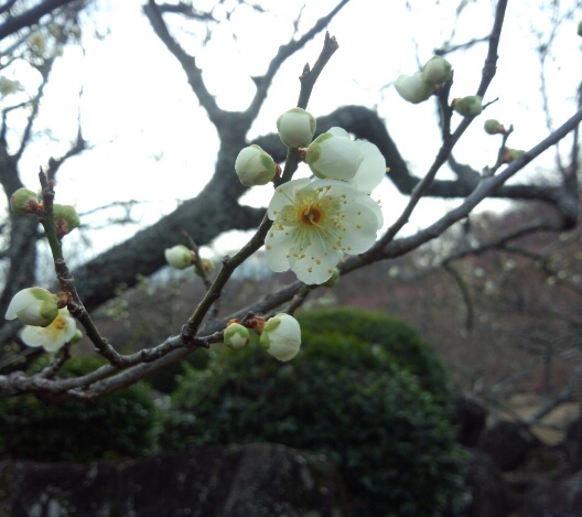 c0107924_1550037.jpg
