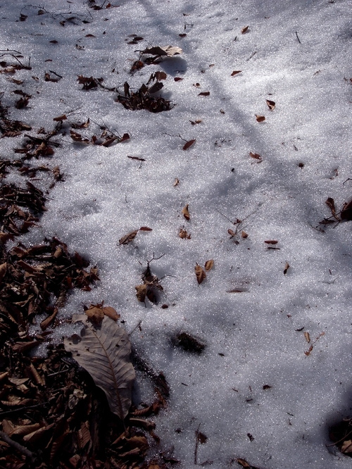 f0103126_203729.jpg