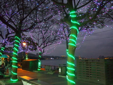 c0103830_1547613.jpg