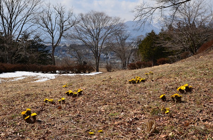 b0236334_20513610.jpg