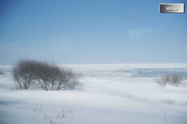 c0227134_22561251.jpg