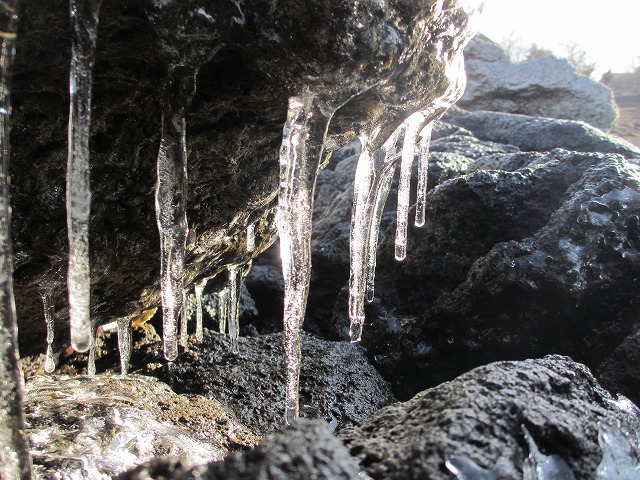 c0208836_19375735.jpg