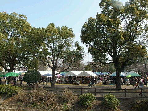 b0199742_22332095.jpg