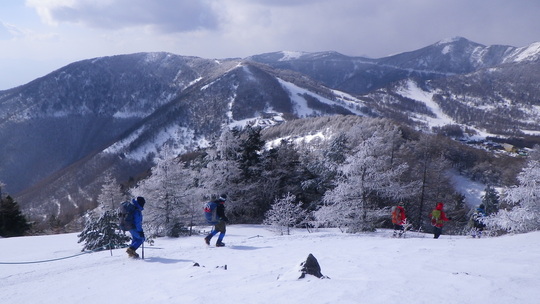 c0042847_1855287.jpg