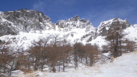 c0042847_18575981.jpg