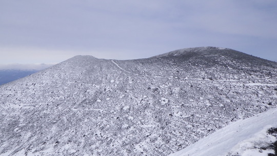 c0042847_1945978.jpg