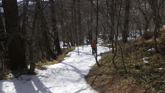 c0042847_1971148.jpg
