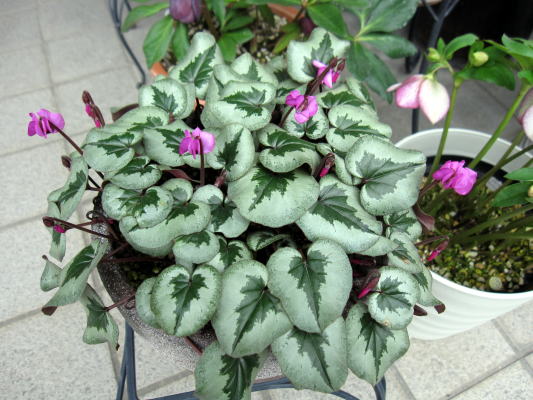 c0147952_22311738.jpg