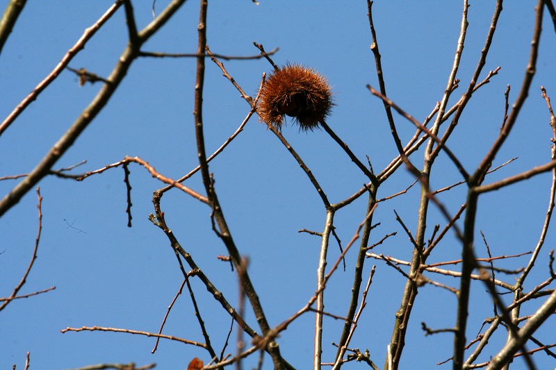 d0244960_1625724.jpg