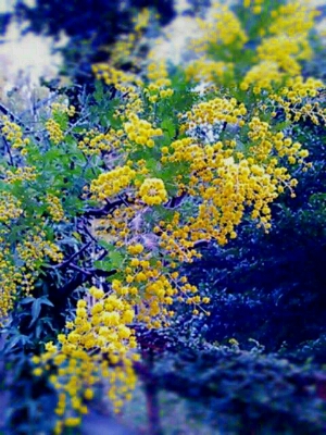 f0222164_1719617.jpg
