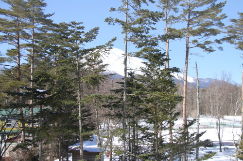 e0114977_20262119.jpg