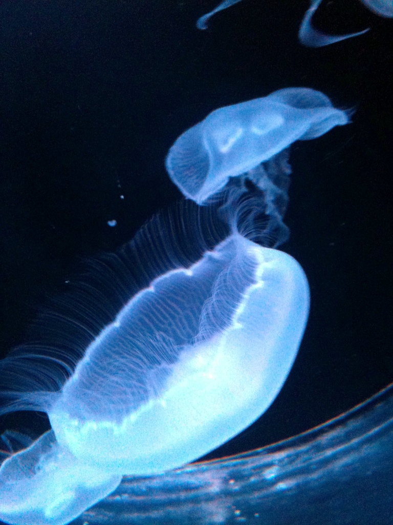 c0283778_16112711.jpg