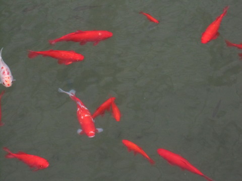 c0283778_18131654.jpg