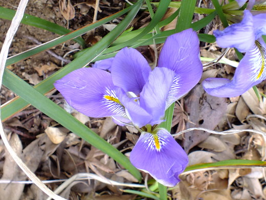 e0145782_20193322.jpg