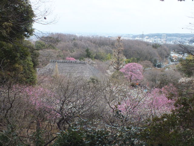e0145782_2093671.jpg