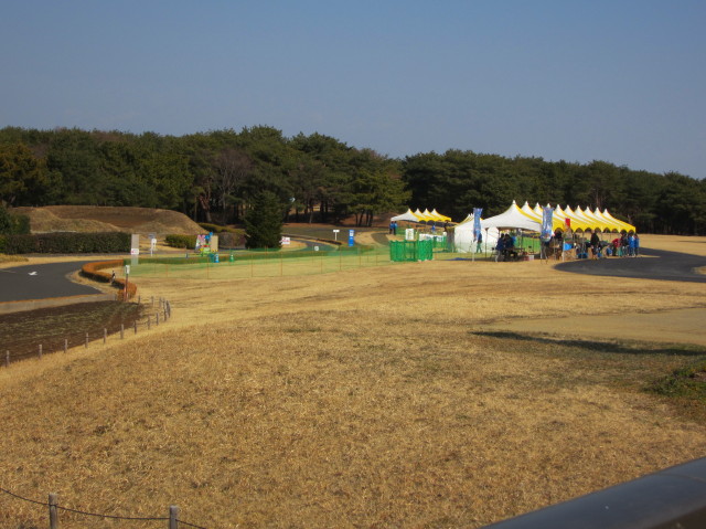 d0098295_22532112.jpg