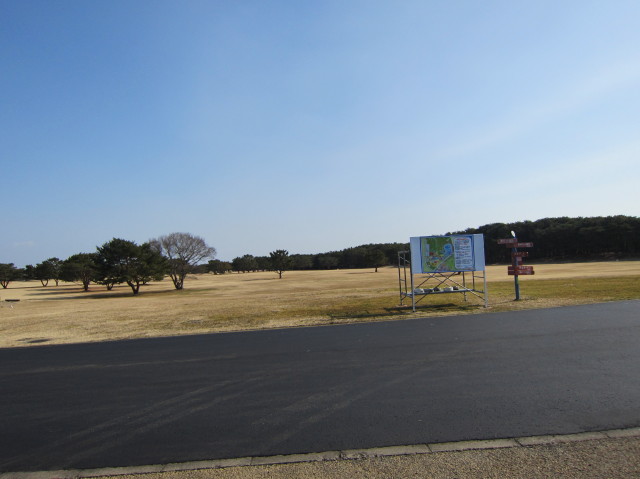 d0098295_22535765.jpg