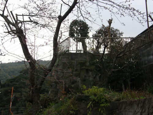 e0017396_215593.jpg