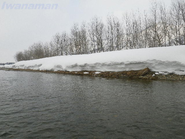 b0172209_1632370.jpg