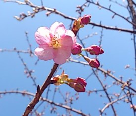 d0024220_13523263.jpg