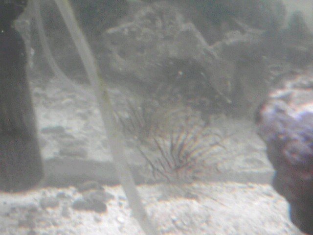 a0291521_13542259.jpg