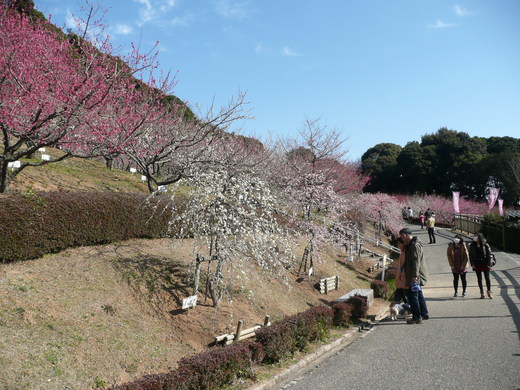 c0009528_22254972.jpg