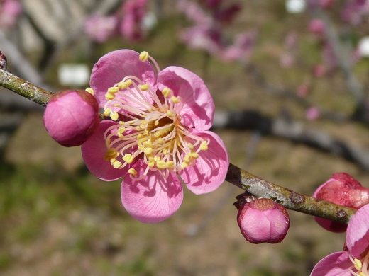c0009528_22262590.jpg