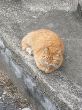 c0077338_6403365.jpg