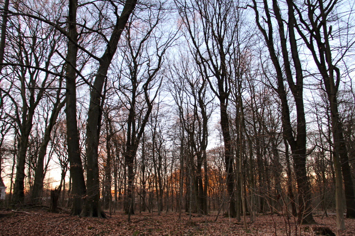 c0153740_2591394.jpg
