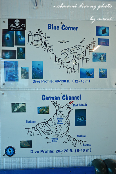 d0237353_20164840.jpg
