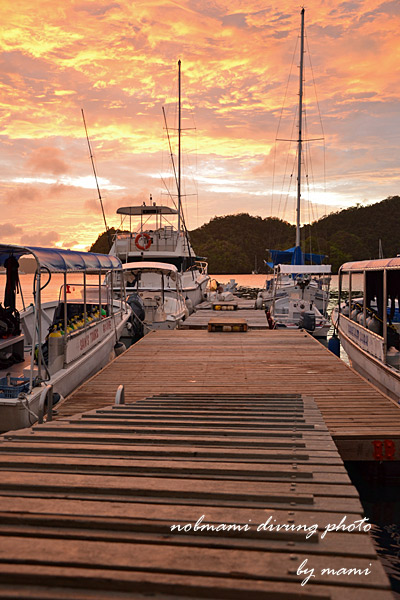 d0237353_2037369.jpg