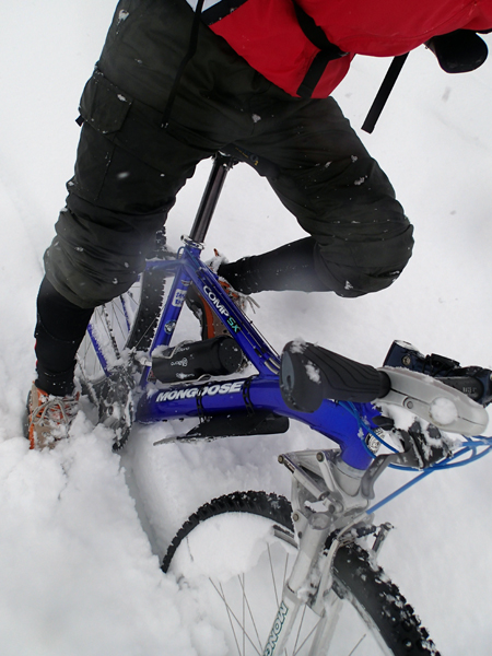 f0225953_12164448.jpg