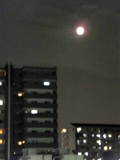 e0028056_8331755.jpg