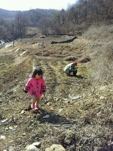 e0186656_2322625.jpg