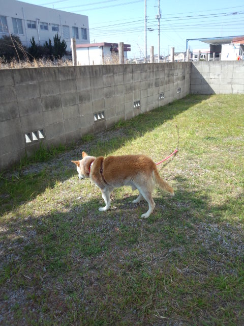 f0195259_0203035.jpg