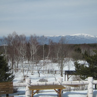 b0091164_1163044.jpg