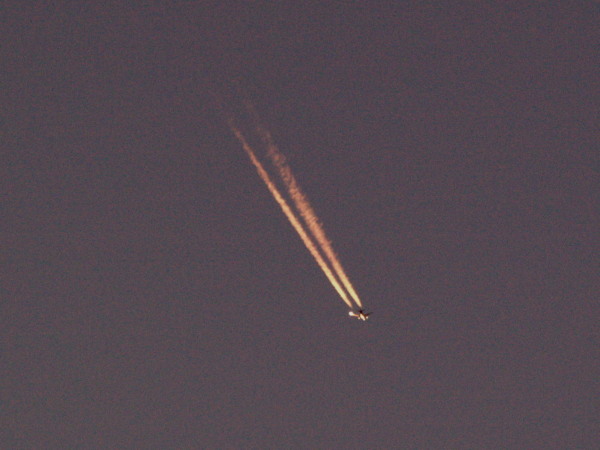 f0208666_18193575.jpg