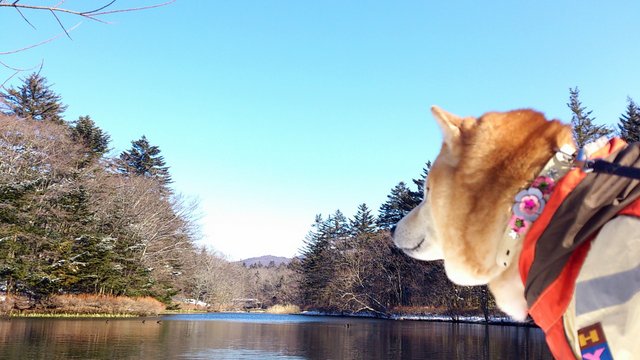 b0274270_12492193.jpg
