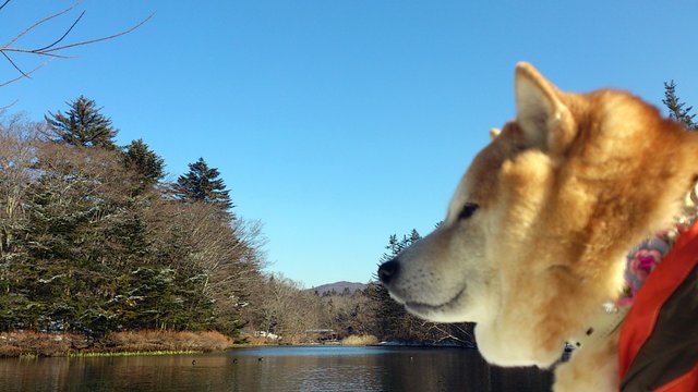 b0274270_12504261.jpg