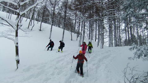 c0022275_11575830.jpg