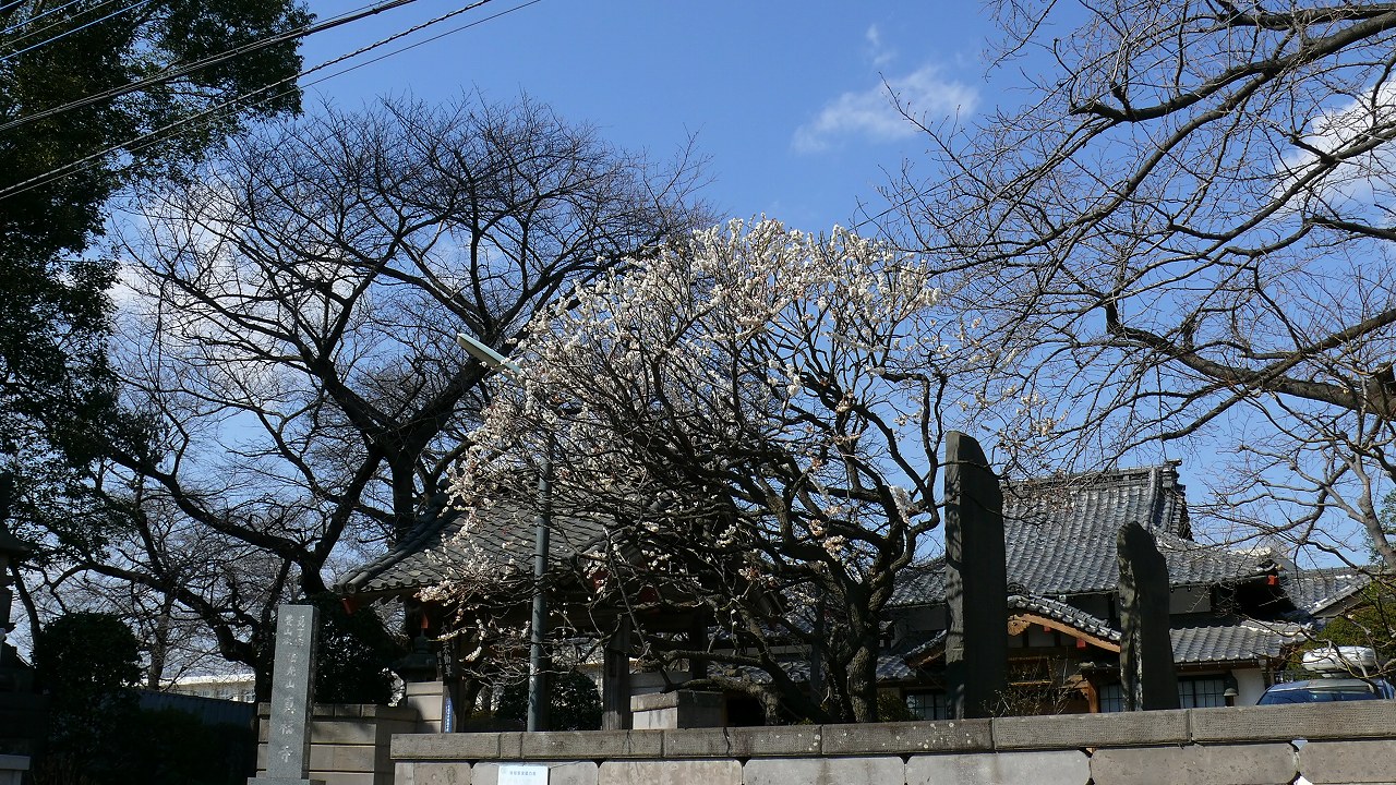 a0185081_15363654.jpg