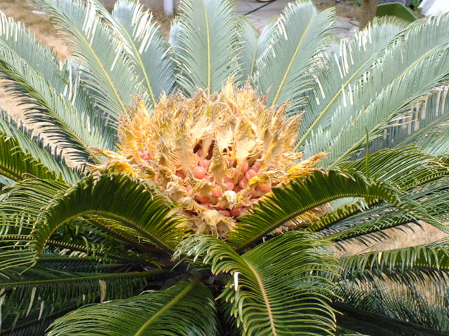 e0145782_17184489.jpg