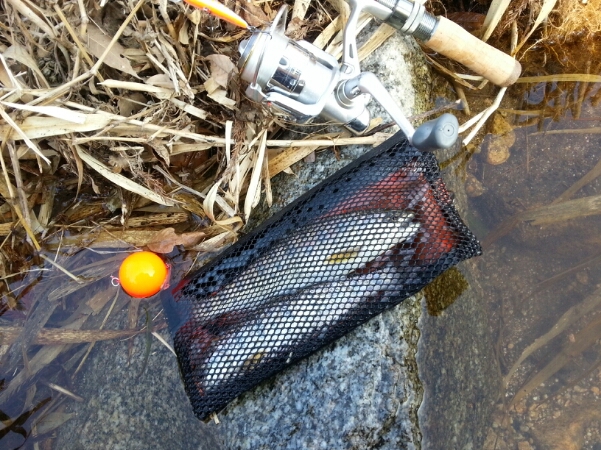 f0183484_14113434.jpg
