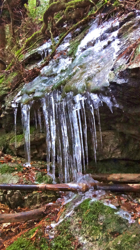 b0220886_1029123.jpg