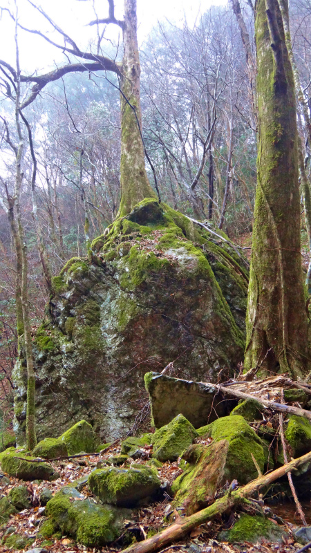 b0220886_10491595.jpg