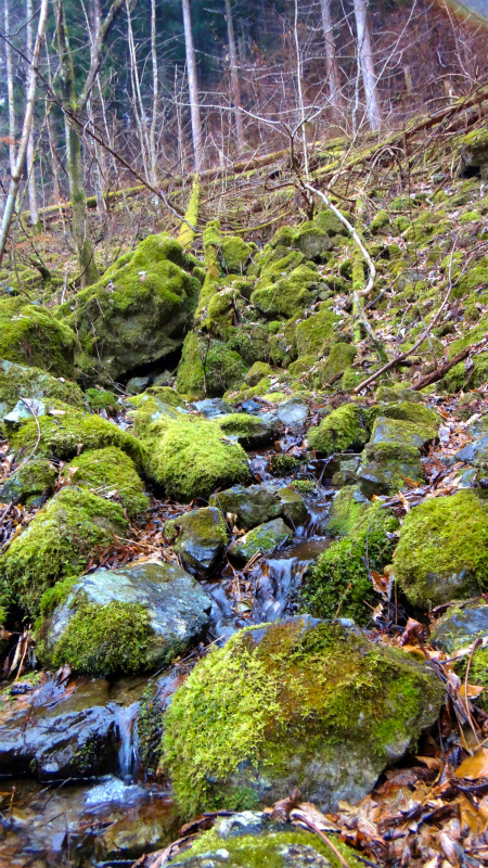 b0220886_1049790.jpg
