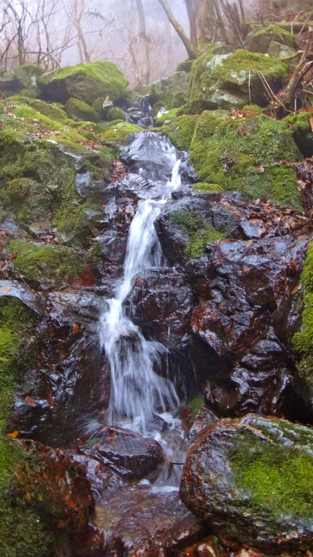 b0220886_1053510.jpg