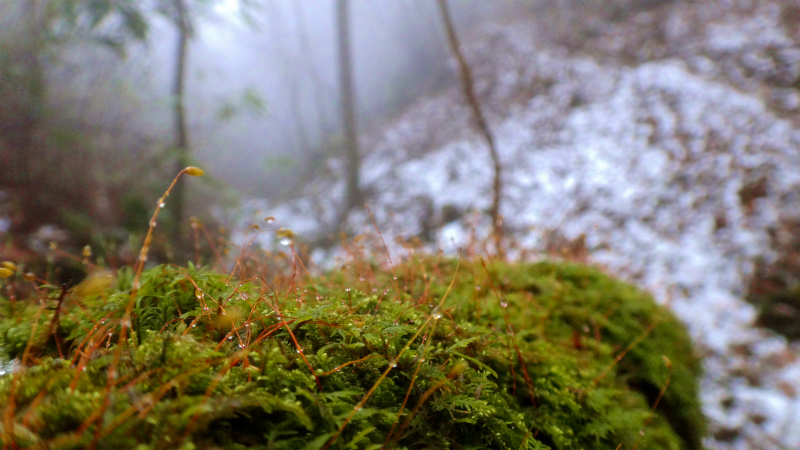 b0220886_110976.jpg